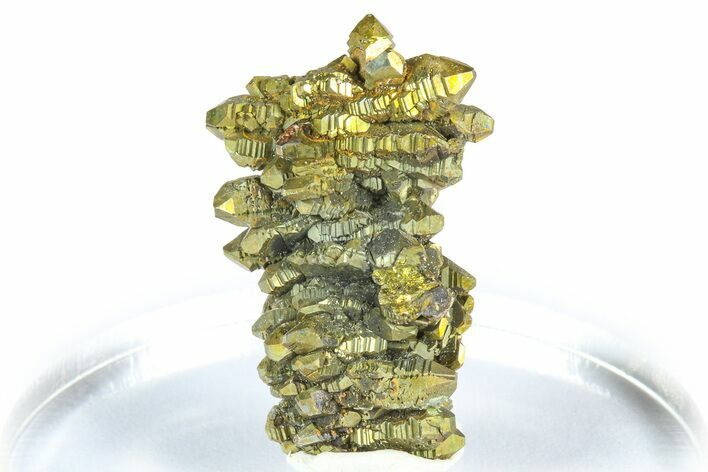 Glistening Marcasite Crystal Stalactite - Linwood Mine, Iowa #372115